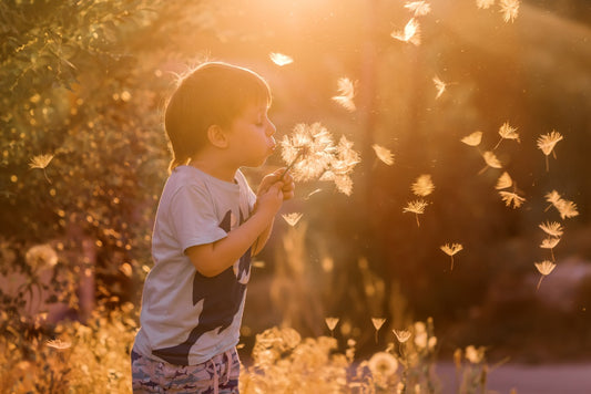 Boy Blowing a Danelion in a Field