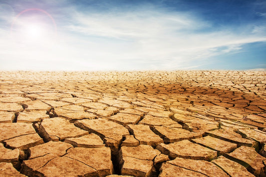 Why Dry Weather Causes Sinus Pain & Finding Dry Sinus Relief